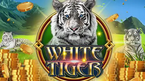White Tiger - Spin City - Congo